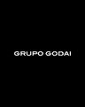 Grupo Godai